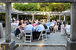 LOVE IN BLOOM AT WISTERIA HALL